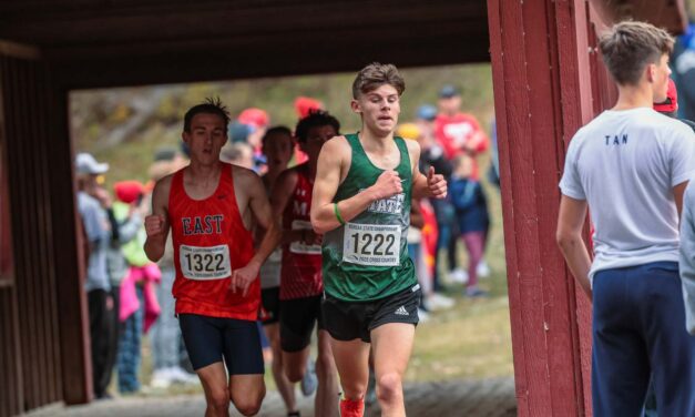 Johnson leads senior-heavy Free State boys to 5th-place finish at state XC meet; Hulcher paces Firebird girls in strong 6th-place showing